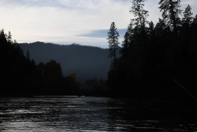 DSC_0297 (Large).JPG